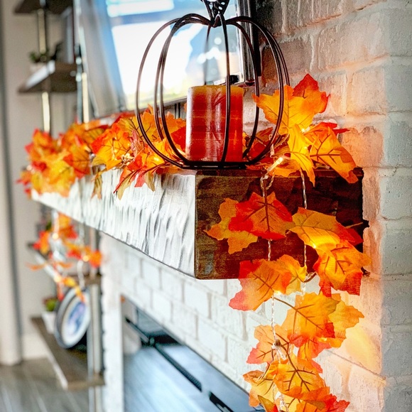 Hello, my name is Sophia! - Picture 1 of 1